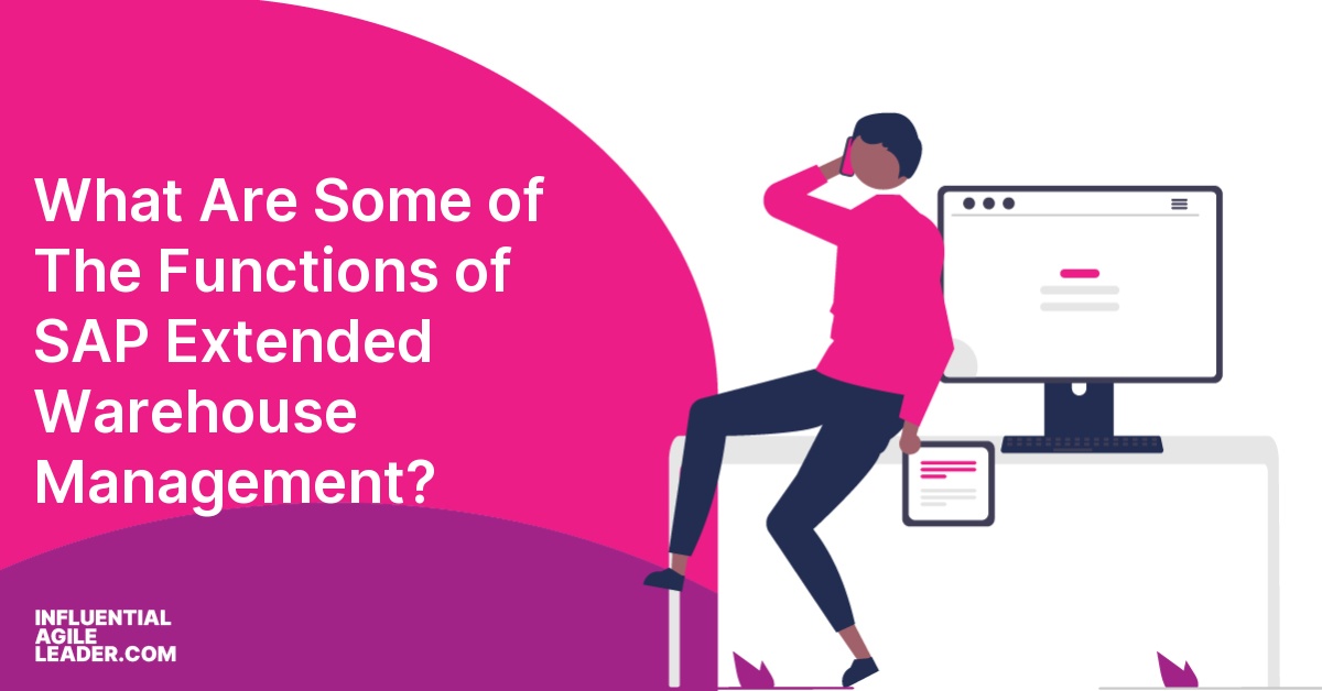 What Are Some of The Functions of SAP Extended Warehouse Management?